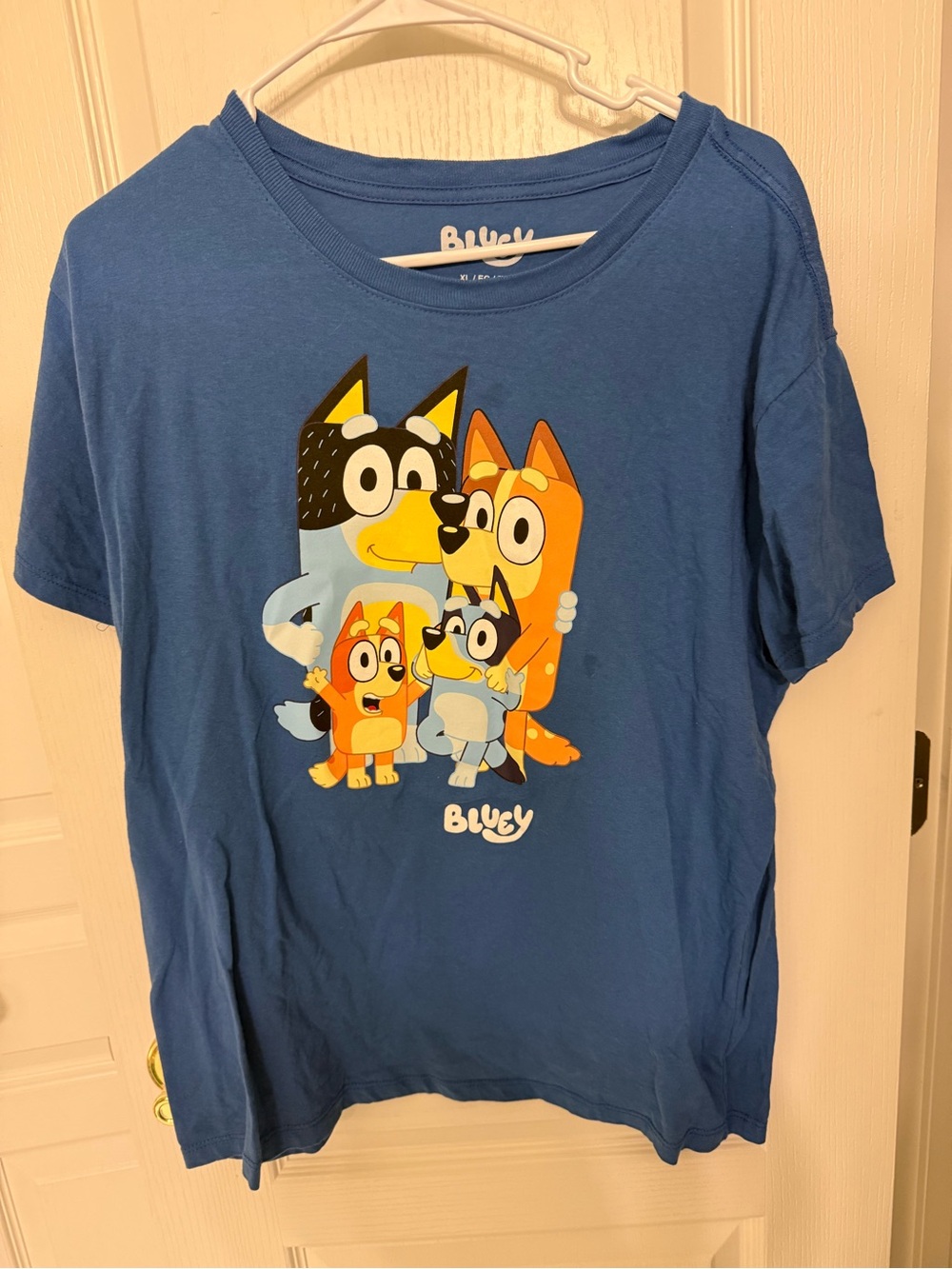 women Graphic Tee - Blue